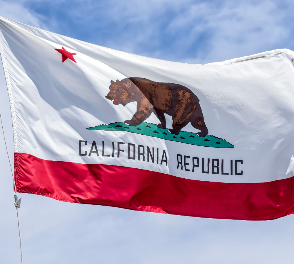 Do You Trust Billionaires to “Build a Better California”? We Don’t.